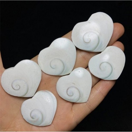 Shiva Eye Shell Kabaşon